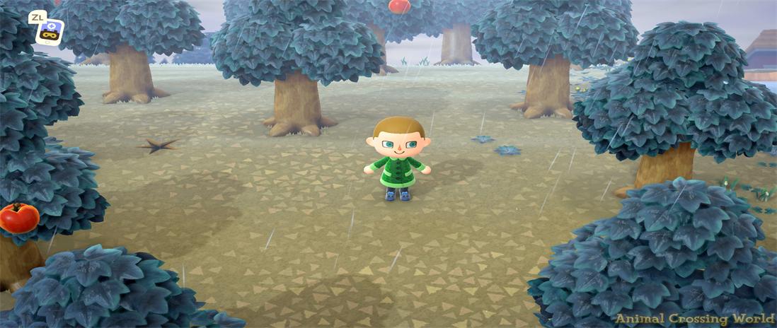 Exploring the Exciting Additions to Animal Crossing in February 2023: Bugs, Fish, and Seasonal Items
