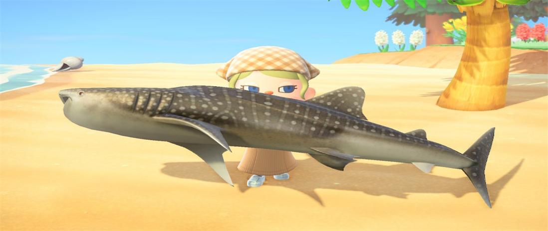 Check out a List of top December fishes that you can sell for bells in ACNH