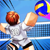 Volleyball Legends