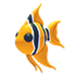 Angelfish Values
