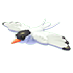 Arctic Tern Values