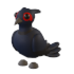 Black-Chested Pheasant Values
