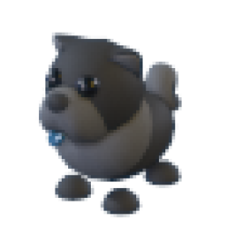 Black Chow-Chow Values