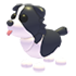 Border Collie Values