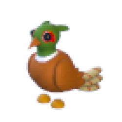 Brown-Chested Pheasant Values