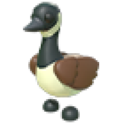 Canadian Goose Values