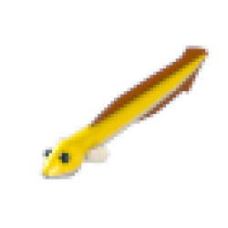 Eel Values