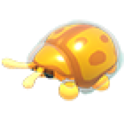 Golden Tortoise Beetle Values