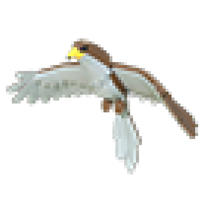Hawk Values