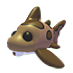 Leopard Shark Values