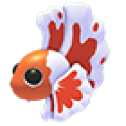 Orange Betta Fish Values
