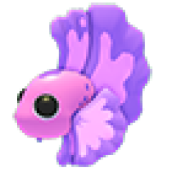 Pink Betta Fish Values