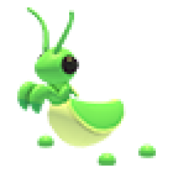 Praying Mantis Values