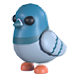 Rock Pigeon Values