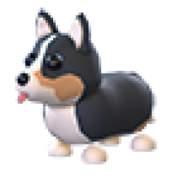 Royal Corgi Values