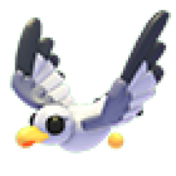 Seagull Values