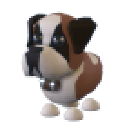St Bernard Values