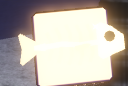 Shiny Skelefish Values