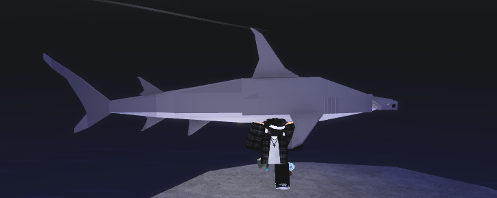 Normal Great Hammerhead Shark Values