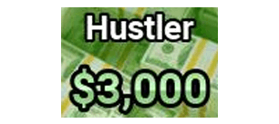 BlockSpin Items All Server Hustler: $3000