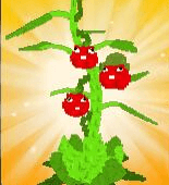 Plants vs Brainrots Shop All Server Tomatrio Seed