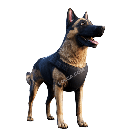 San Diego Border Roleplay Shop K9