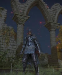 Elden Ring Items XBOX Black Knife Assassin build