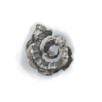 Elden Ring Items PC Silver Horn Tender *10