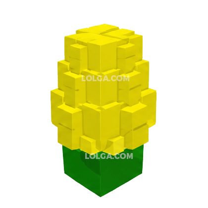 Corn Seed×1