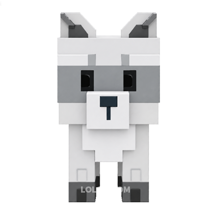 Raccoon