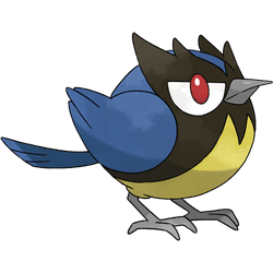 Pokemon Rookidee