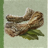 Skull and Bones Items Xbox (Raw Fiber)-Abaka