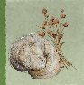Skull and Bones Items Xbox (Raw Fiber)-Linen