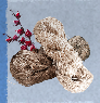 Skull and Bones Items Xbox (Raw Fiber)-Roselle
