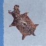 Skull and Bones Items Xbox (Raw Hide)-Apex Hippo Hide