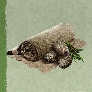 Skull and Bones Items Xbox (Refined Fiber)-Fine Hemp