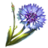 The ESO Items Xbox-North America Corn Flower x 200