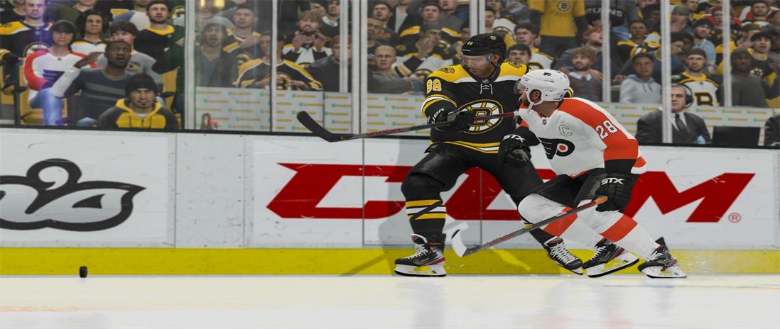 nhl21_pastrnak_deke_3840x2160_final.jpg