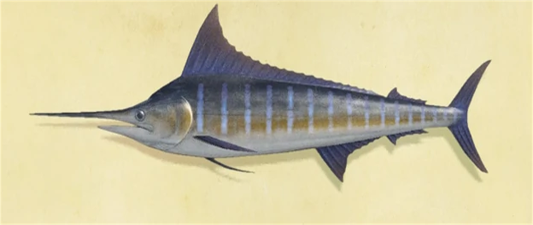 1609209145721420.png NH-Blue-Marlin.png