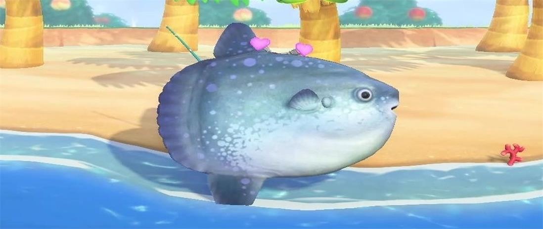 1609209158617551.jpeg ocean.jpg