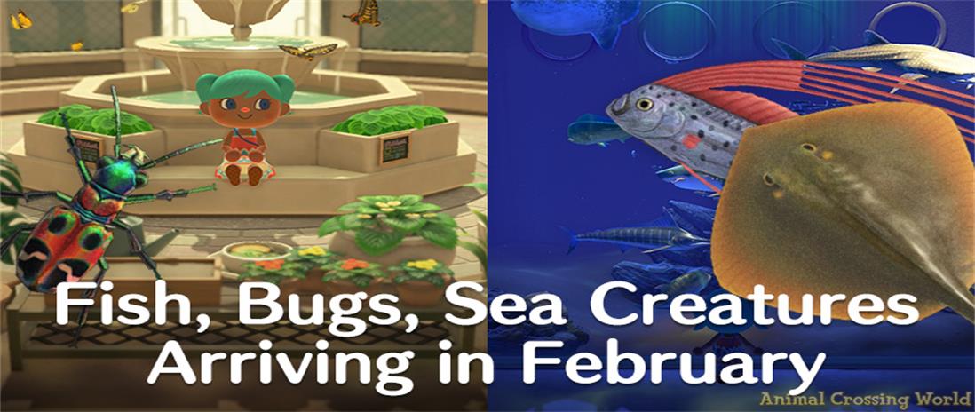 1612248917147767.jpeg animal-crossing-new-horizons-new-fish-bugs-sea-creatures-in-february-northern-southern-hemisphere-banner.jpg