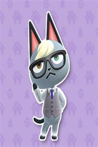 1614146741201729.jpeg cat.jpg