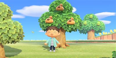 how-to-grow-a-money-tree-animal-crossing-new-horizons_feature.jpg