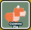 Guinea Pig