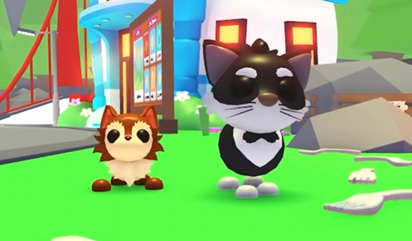 New Pet Predictions: Tux Kitt and Vitt Ness