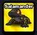 Salamander - Steal an Egg pet