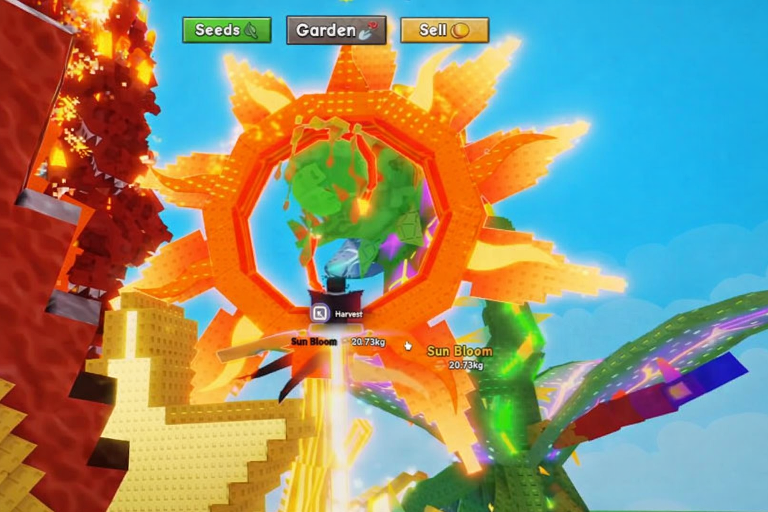 Sun Bloom Appearance Design