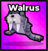 Walrus - Steal an Egg pet