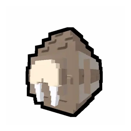 Walrus