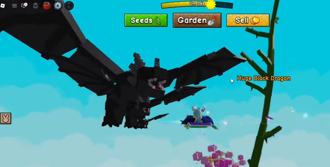 Black Dragon appearance
